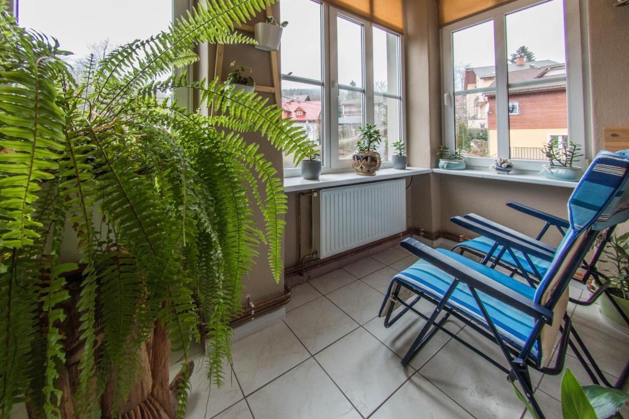 Apartamenty Izerskie - Ul. Wczasowa 8 Świeradów-Zdrój 외부 사진